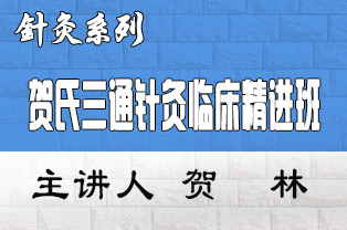 贺氏三通针灸临床精进班