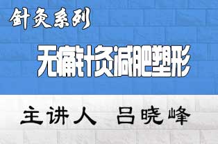 吕晓峰无痛针灸减肥塑形临床应用研修班