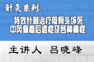 吕晓峰特效针刺治疗股骨头坏死、中风偏瘫后遗症及各种痛症临床研修班