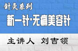 刘吉领新一针•无痛美容针法临床应用研修