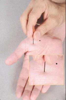 1629429032887315.jpg 11.jpg