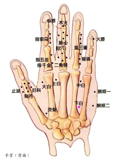 1630394479266151.jpg 2.jpg