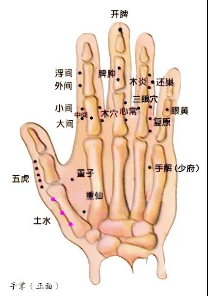 1630394673839550.jpg 6.jpg